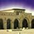 Ahmed Gamal Elsayed's profile image