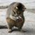 Robin Martinez's profile image