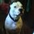 Mary M Dunlap's profile image