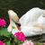 Barbara Cunningham-Johnson's profile image