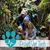 Patricia A. Krohn's profile image