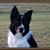 Patty Van Ash's profile image