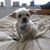 Wendy N. Gray's profile image