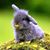 Cindy Strickler's profile image