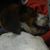 Paul Lefler's profile image