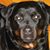 Steve Pressoir's profile image
