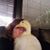 Kori Geary's profile image