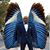 Jesse Brooks's profile image