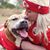 Michelle Lynn Dawson's profile image