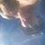 Gregg Grisham's profile image