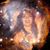 Shayla Roop's profile image