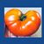 Lee Merrill Anderson's profile image