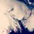 Robin Arnett's profile image