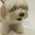 Chloe Hsu's profile image
