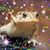 Michele Gregory Tlucek's profile image