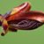 Gina Ruhn Bashans's profile image