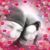 Pauline Tikvah's profile image