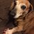 Susan Johnson's profile image