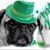 Maria Tavares Viering's profile image