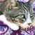 Bonnie Bagley's profile image