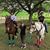 Marie Heffelfinger Coudrier's profile image