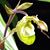 Victoria Hopkins's profile image