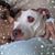 Kelly Di Maio's profile image