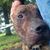 Sandra Garcia's profile image