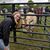 Lisa Calloway Djernes's profile image
