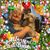 Jody N Hans Grenier's profile image