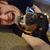 Brad Wolfe's profile image