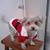Sandy Heath's profile image