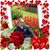 Renate Newlon's profile image