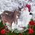 Linda Moore's profile image