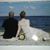 Angele Leurs-Dinkgreve's profile image