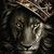 Gina Vanelli's profile image
