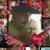 Maggie Bednar's profile image
