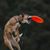 Sarah Stewart's profile image
