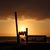 Carletti Claudia's profile image