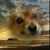 Debra Gunning's profile image