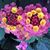 Kathy Johnson's profile image