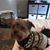 Debbie Reusser's profile image