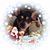 Joyce Swisshelm DiGuardia's profile image