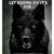 Terry Black Wolf Kuespert's profile image
