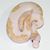 Michael Solga's profile image