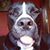 Adam Dorst's profile image