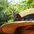 Kathy Fiala's profile image