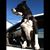Randy Kamradt's profile image