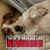 Lynnette Staroska's profile image