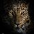 Ali Smith's profile image
